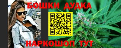 гидра Краснодар